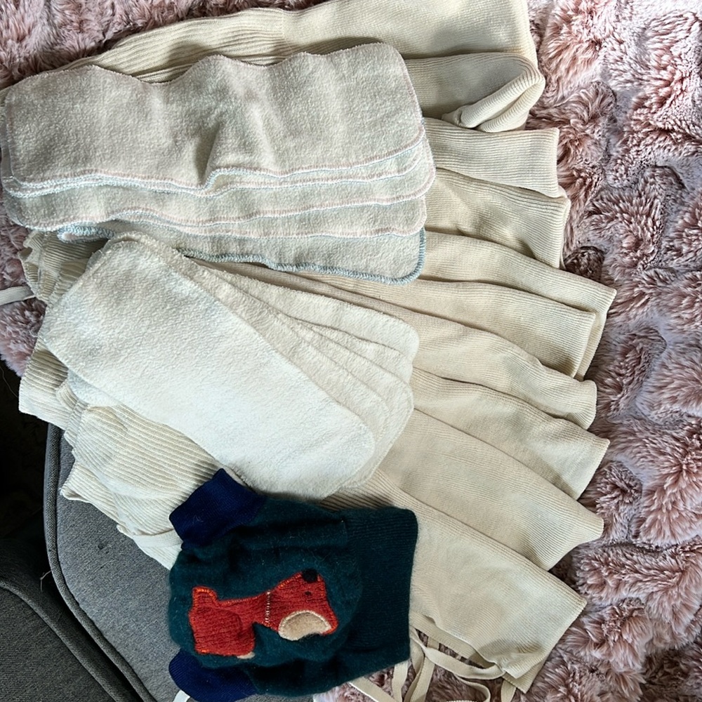 Disana cloth baby diapers, inserts, and wool cover.